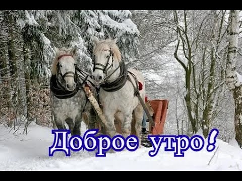 С добрым утром папочка - satisfucktor.ru С добрым утром папочка - satisfucktor.ru