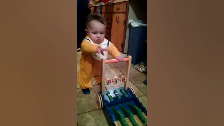 7mth old walking his gator.