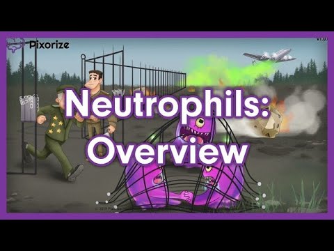 Neutrophils Mnemonic for USMLE