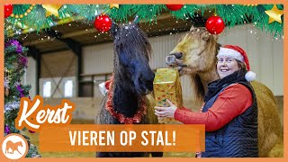 Kerstboom Versieren Met Jauke En Llevado