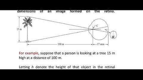 Elements of visual perception|DIP|Digital Image Processing