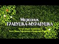 Травушка-Муравушка - Морозник