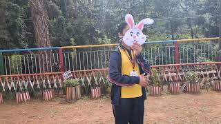 Storytelling Revival