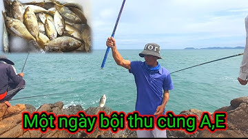 VUONG LT VLOG | câu cá biển | Khi cá giò áp ghành anh,em giật mỏi tay