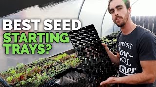 Best Seedling Trays: Soil Blocks, Winstrip, and Plug Trays Compared