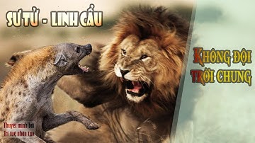 🔥 Sư tử vs Linh cẩu | Cuộc chiến sinh tử trên thảo nguyên Serengeti 🌍