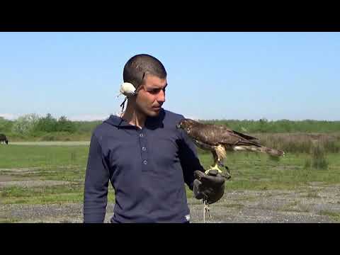 ფოთელი ბაზიერები 21 04 18