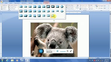 picture command in MS Word by salman shal in pashto