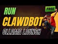 Run Clawdbot with Ollama Launch Locally for FREE: No API Key Required