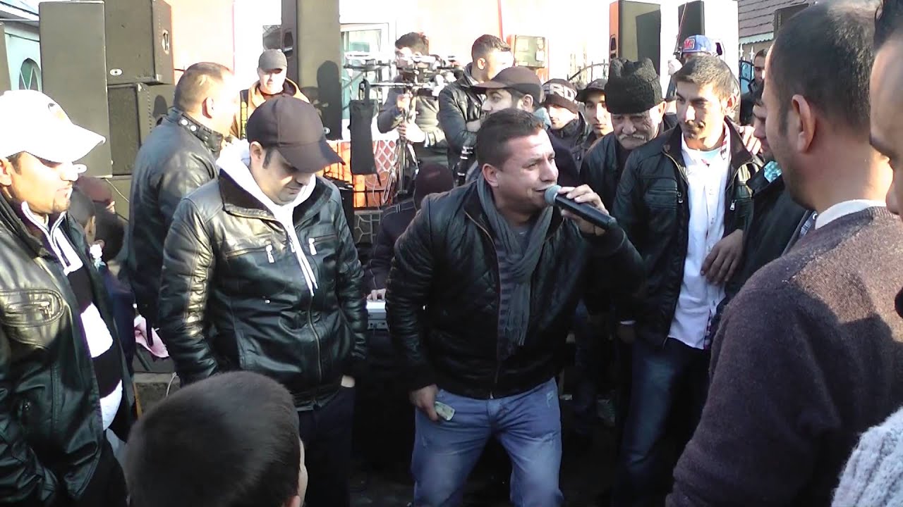 logodna puiu bailesti 2