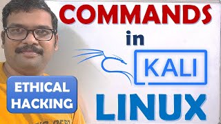 COMMANDS IN KALI LINUX || BASIC COMMANDS IN KALI LINUX || ETHICAL HACKING