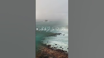 سورة القمر- قصة سيدنا نوح