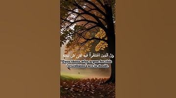 استغفر الله العظيم واتوب إلية #اكسبلور #المصحف #quran #الله #قرآن #تلاوة_خاشعة #allah #qurankareem