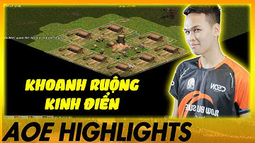 Khoanh ruộng KINH ĐIỂN đã CỨU SỐNG Chim Sẻ thế nào? | AoE Highlights