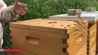 Beekeeping Inner lid upside down or right side down? screenshot 3