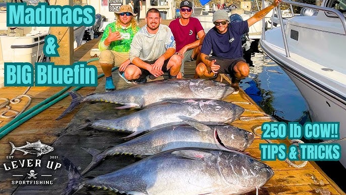 GAME CHANGER!!, HOW TO Troll Nomad MADMACS for HUGE BLUEFIN TUNA!