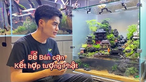 Bể bán cạn tiểu cảnh thác nước - tượng Phật
