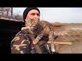 Спасая в горах кота, солдат даже не представлял, какой подвиг он потом для него совершит