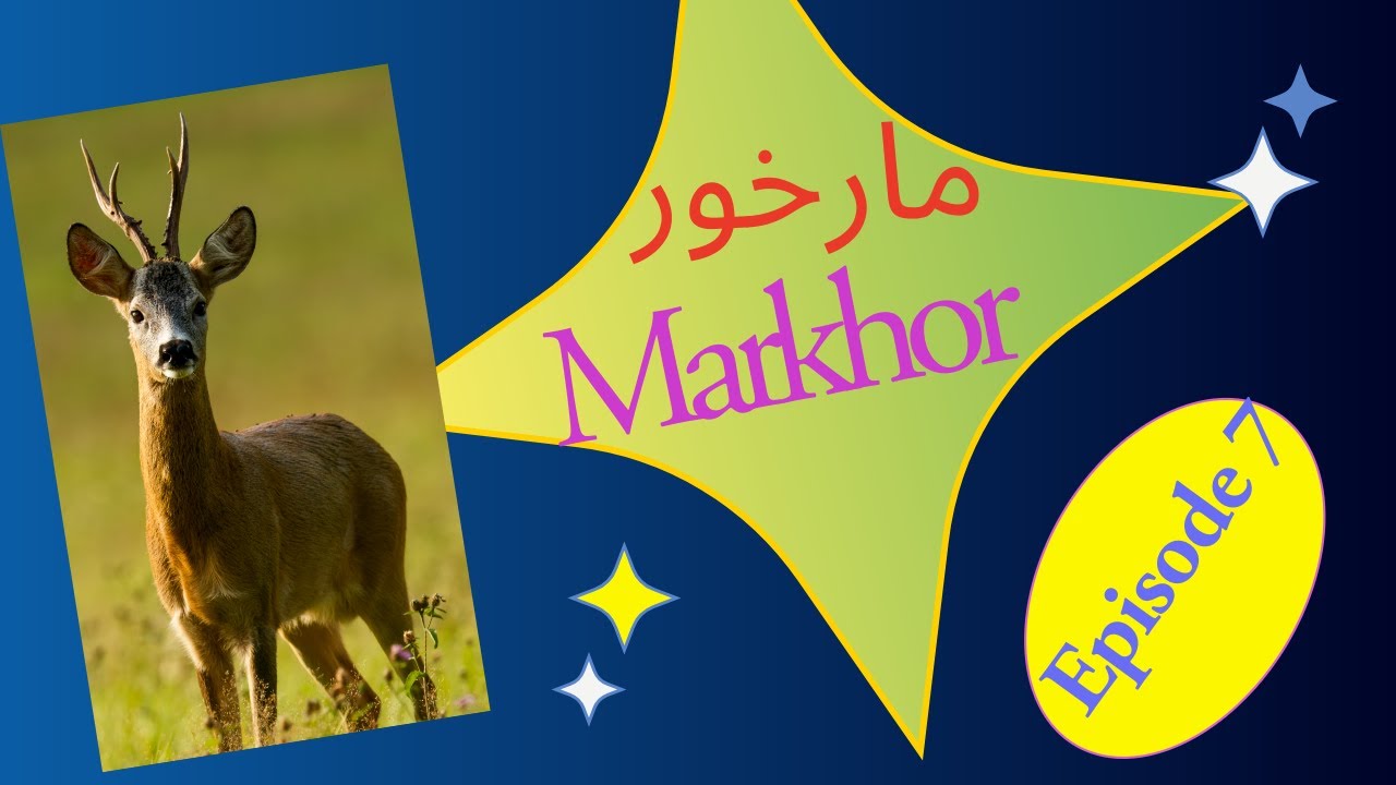 Markhor 7| moral stories for kids Urdu/hindhi