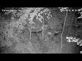 Fox Den 2