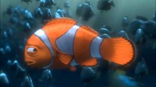 Youtube Poop - Marlin Hates Nemo