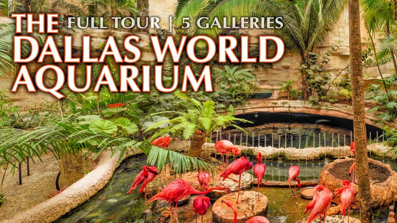 The Best & Worst “Aquarium” I’ve Been To | Full Tour & Review