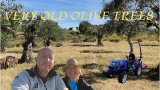 Is This The Ultimate Offgrid Dream Our Life In Portugal