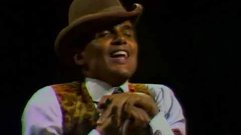 Harry Belafonte - Mr. Bojangles (Live)