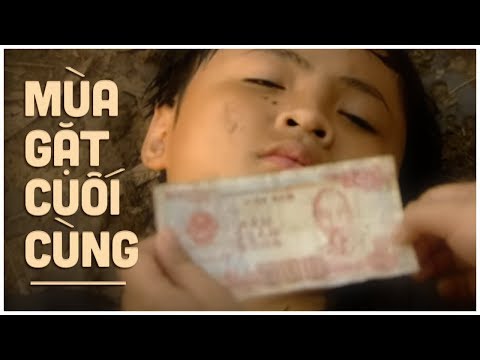 Phim Chiếu Rạp: MÙA GẶT CUỐI CÙNG | Phim Tình Cảm Việt Nam Khiến "Triệu Người" Xúc Động 2020