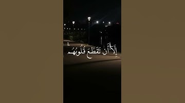 #سورة_التوبة ،#قرآن #راحة_نفسية #صلوا_على_النبي #توكلت_على_الله #القرآن_الكريم