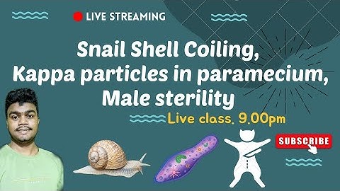 Shell Coiling in Snail || kappa particles in paramecium || Male sterility || cytoplasmic inheritance