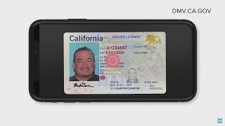 California launches mobile driver's license pilot program screenshot 5