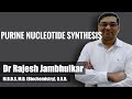 Purine nucleotide synthesis- AMP and GMP