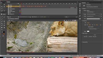 GD190 :: Lesson 9 :: Adobe Animate CC  :: Sound and Video