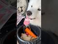 鮭とキノコの炊き込みご飯つくってる間におもちゃで疲れるまで遊び尽くしました!
