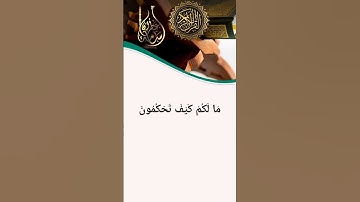 إِنَّ لِلْمُتَّقِينَ عِندَ رَبِّهِمْ جَنَّاتِ النَّعِيمِ | القارئ أسامة عطران