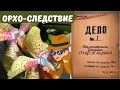 Орхидея Джулия (а-ля ринх). Кто она на самом деле? Phal.Craft Aroma; Phal. pallens x Phal. Rheingold