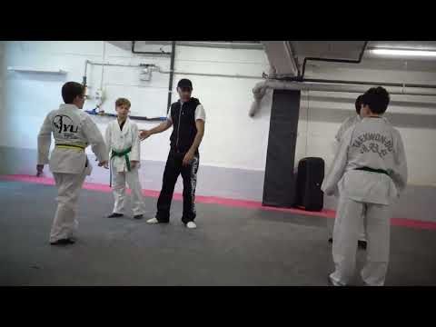 Taekwondo 