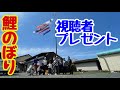 【企画】視聴者様に、鯉のぼりをプレゼント‼️ついでに、お手伝いをしてみた、、Japanese Yakuza Ninkyo
