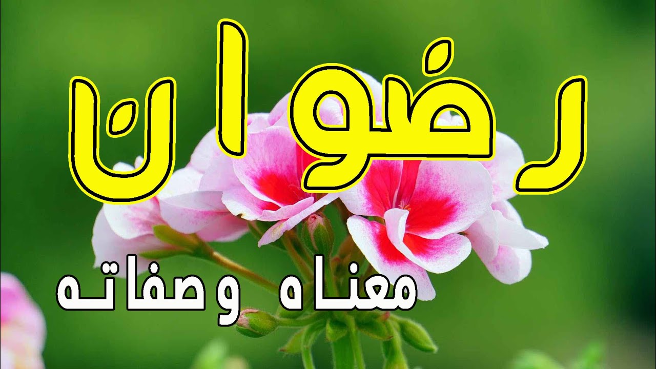 رضوان