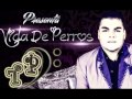 NUEVA PRODUCCION MAX PERAZA-VIDA DE PERROS
