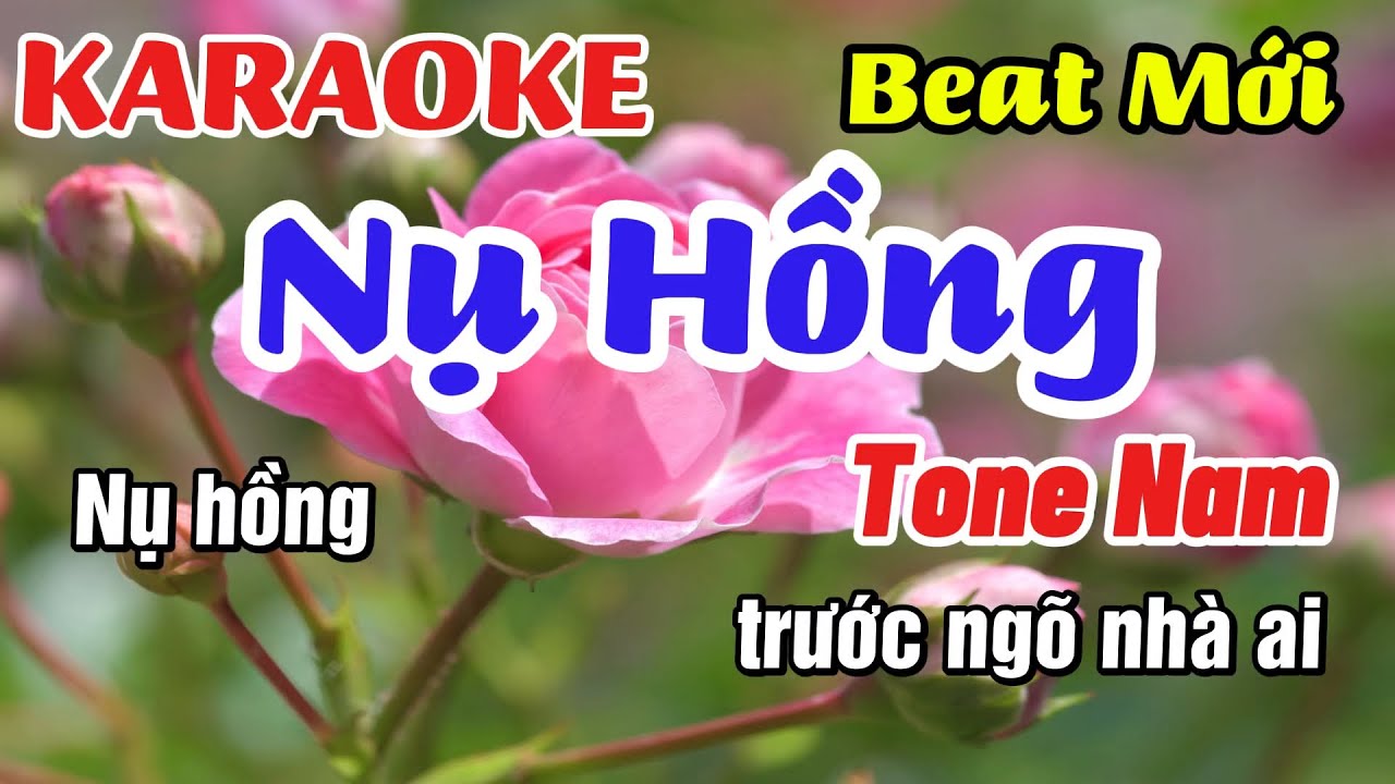 Karaoke Nụ Hồng Tone Nam Beat Mới 2025 Nhạc Sống Cực Chuẩn|Karaoke Huy Phát