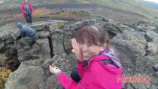 歐亞板塊與北美洲板塊交接在冰島
