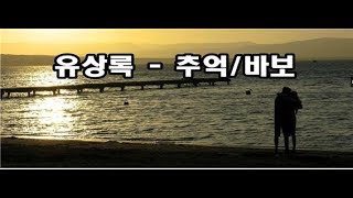 유상록 - 추억 / 바보 kpop 韓國歌謠