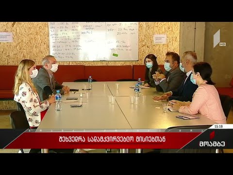 შეხვედრა სადამკვირვებლო მისიებთან