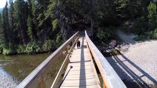 My bear encounter in Glacier National Park