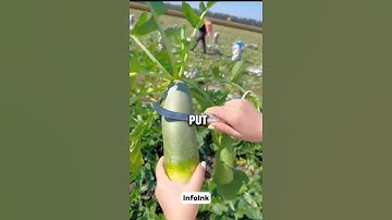 Put a Finger Down: Introvert Edition #shorts #viralvideo