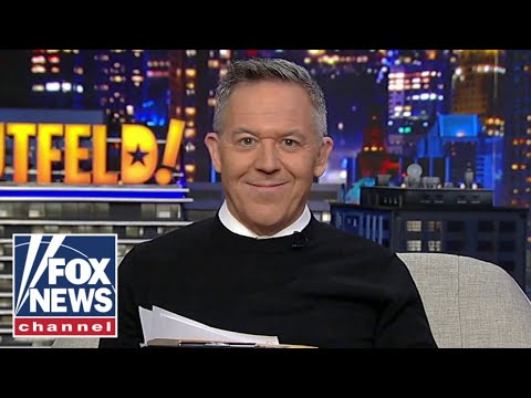 Gutfeld: This is stupid