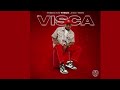 Visca - UDlala Ngami (Official Audio) feat. DJ Maphorisa & Nkosazana Daughter