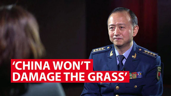 'China Won't Damage the Grass' | Conversation With | CNA Insider - DayDayNews